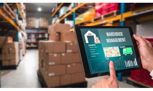 ERP vs Standalone Software: Which is Best for SMEs?